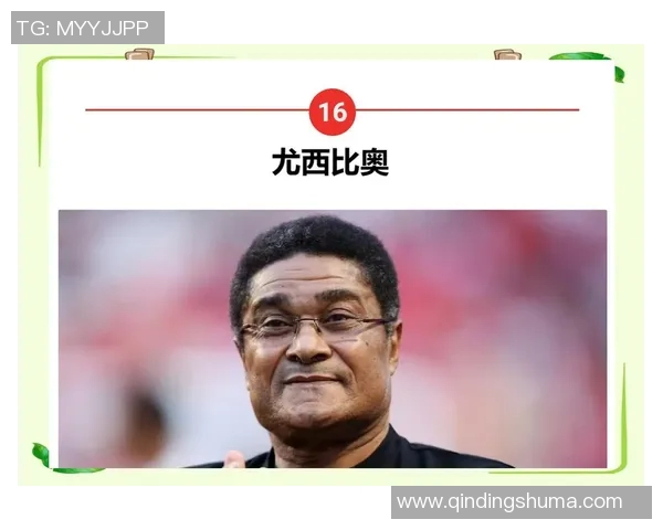 全球足球界的十五位传奇明星球员及其辉煌成就解析